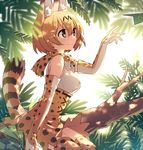  animal_ears bare_shoulders blush bow bowtie breasts commentary cross-laced_clothes dappled_sunlight day elbow_gloves eyebrows_visible_through_hair forest from_side gloves hair_between_eyes hand_up hijiri_(resetter) in_tree japari_symbol kemono_friends leaf light_brown_eyes looking_away medium_breasts nature orange_hair outdoors paper_airplane serval_(kemono_friends) serval_ears serval_print serval_tail shirt short_hair sitting sitting_in_tree skirt sleeveless sleeveless_shirt smile solo striped_tail sunlight tail tareme tree white_shirt 