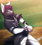  angiewolf anthro baseball_(disambiguation) canine clothed clothing day detailed_background hair male mammal outside purple_hair purple_nose solo standing 