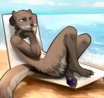  5_fingers angiewolf anthro beach blue_eyes brown_fur day detailed_background fur lying male mammal mustelid nude otter pawpads purple_pawpads seaside sky smile solo water 