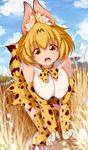  :d all_fours animal_ears bare_shoulders blonde_hair blue_sky bow bowtie breasts cloud collarbone day elbow_gloves eyebrows_visible_through_hair gloves hanging_breasts highres kemono_friends large_breasts lips looking_at_viewer mountain open_mouth outdoors psychopath_idiot savannah serval_(kemono_friends) serval_ears serval_print serval_tail shirt skirt sky sleeveless smile solo tail thighhighs yellow_eyes zettai_ryouiki 