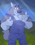  2014 abs anthro biceps canine clothing digital_media_(artwork) e-w01f fur hi_res male mammal muscular muscular_male overalls pecs wolf 