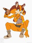  2017 annonguy anthro areola armpits badger boomerang bottomless breasts clothed clothing female footwear hi_res holding_object mammal mustelid nipples pussy solo sonic_(series) sonic_boom sticks_the_jungle_badger tyelle_niko 