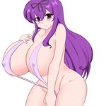  1girl breasts huge_breasts murasaki_(senran_kagura) senran_kagura solo tagme 