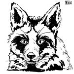  black_and_white canine feral fox fur looking_at_viewer mammal monochrome punishedkom simple_background sketch smile solo 