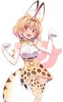 animal_ears asa_(coco) bare_shoulders blonde_hair elbow_gloves gloves japari_symbol kemono_friends looking_at_viewer open_mouth serval_(kemono_friends) serval_ears serval_print serval_tail short_hair sleeveless solo standing standing_on_one_leg tail thighhighs 