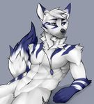  2016 5_fingers abs angiewolf anthro blue_eyes canine dog featureless_crotch fur hair mammal simple_background smile white_fur white_hair 