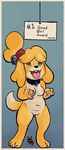  2017 animal_crossing anthro bell breasts canine collar digital_media_(artwork) dog domination english_text female fur hairband isabelle_(animal_crossing) looking_at_viewer looking_up mammal navel newd nintendo nipples nude open_mouth panting pose pussy simple_background slightly_chubby solo standing sweat teasing text tongue tongue_out video_games yellow_fur 