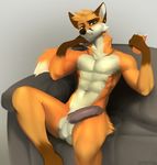  2016 5_fingers angiewolf anthro balls canine ear_piercing erection fox fur male mammal muscular muscular_male navel orange_fur penis piercing simple_background sitting solo 