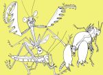  2017 2_toes 3_fingers 4_legs 4_wings abdomen ambiguous_gender antennae arthropod black_and_white blade_arm claws digital_drawing_(artwork) digital_media_(artwork) feral feyurii folded_wings grasshopper group insect insect_wings long_legs looking_at_another mandibles mantis mole_cricket monochrome multi_leg multi_limb multi_wing orthopterid partially_colored pseudo_pupils quadruped raised_arm simple_background size_difference spines spread_wings standing toes wings yellow_background 