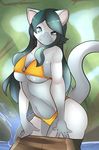  2015 anthro bikini bra breasts cat cleavage clothed clothing feline female hi_res kami-chan looking_at_viewer mammal midriff navel panties pants skimpy smile solo swimsuit under_boob underwear undressing water 
