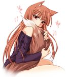  animal_ears bare_shoulders biting brown_eyes brown_hair fang holo long_hair long_sleeves ndemotte off_shoulder red_eyes shirt solo spice_and_wolf tail tail_biting tail_fondling tail_hug thighs wolf_ears wolf_tail 