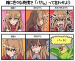  aisaka_taiga bad_id bad_pixiv_id bird brown_eyes brown_hair chart inko kanbe_piroshiki long_hair parrot school_uniform toradora! translated 