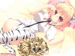  animal_ears blonde_hair duplicate galge.com tail thigh-highs 