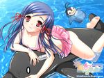  alto_seneka barefoot bikini bird blue_hair day dolphin feet flat_chest frilled_bikini frills galge.com hair_ribbon inflatable_dolphin inflatable_toy long_hair lying mizumiya_saori natsuiro_penguin o_o on_stomach penguin pink_bikini red_eyes ribbon smile solo swimsuit water wet 