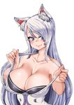  animal_ears blue_eyes blush breasts cleavage collarbone dungeon_and_fighter highres large_breasts long_hair looking_at_viewer silver_hair simple_background smh1069 smile solo white_background 