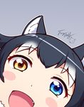  animal_ears black_hair blush_stickers close-up fang fur_collar grey_background grey_wolf_(kemono_friends) heterochromia kemono_friends kotori_photobomb langbazi long_hair looking_at_viewer multicolored_hair open_mouth signature simple_background solo two-tone_hair wolf_ears 