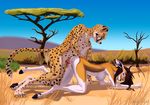  achoo antelope cheetah cum cum_in_pussy cum_inside cum_on_penis day feline gazelle mammal penetration penis savanna sex tagme thompson&#039;s_gazelle vaginal vaginal_penetration 