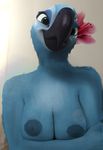  2017 anthro avian big_breasts bird blue_macaw breasts edit female flower jewel_(rio) macaw nipples nude parrot photo_manipulation photomorph plant plumage rio smile solo 