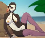  anthro avian beach beak bird black_gargoyley breasts female looking_at_viewer nipples outside pearl_(boolean) puffin seaside sitting solo 