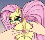  &lt;3 &lt;3_eyes 2017 anus blush butt clitoris coinpo cutie_mark dock equine female feral fluttershy_(mlp) friendship_is_magic hair hi_res horse long_hair looking_at_viewer looking_back mammal my_little_pony pink_hair pony pussy pussy_juice rear_view spread_pussy spreading tongue tongue_out 