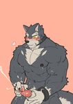  2017 abs anthro big_muscles canine fur husky_(artist) koreanhusky male mammal muscular muscular_male pecs penis 