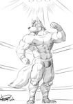 2017 abs anthro big_muscles canine clothing fur husky_(artist) koreanhusky male mammal mask muscular muscular_male nipples pecs underwear wolf 