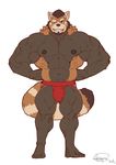  abs anthro big_muscles bulge clothing fur husky_(artist) koreanhusky male mammal muscular muscular_male nipples pecs red_panda underwear 