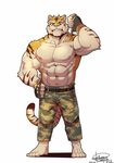  abs anthro big_muscles clothed clothing feline fur husky_(artist) koreanhusky male mammal muscular muscular_male nipples pecs tiger topless 