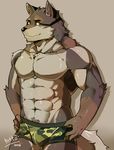  abs anthro biceps canine clothed clothing digital_media_(artwork) fur hittoga male mammal multicolored_fur muscular muscular_male pecs solo topless underwear wolf 