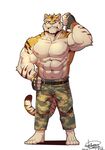  2017 abs anthro big_muscles canine clothed clothing feline fur husky_(artist) koreanhusky male mammal muscular muscular_male nipples pecs simple_background striped_fur stripes tiger topless 