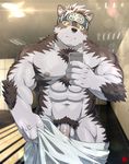  2017 abs anthro biceps canine clothing fur headband horkeukamui loincloth male mammal multicolored_fur muscular muscular_male nipples pecs penis rossciaco simple_background solo tokyo_afterschool_summoners white_fur wolf 