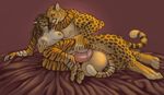  2017 animal_genitalia animal_penis anthro areola balls biceps big_balls big_breasts big_muscles black_nose blush breasts cheetah d-sui digital_media_(artwork) duo erection feline female fur hair hi_res huge_balls hyper hyper_balls hyper_penis jasiri long_hair male male/female mammal multicolored_fur muscular muscular_male nipples nude open_mouth penetration penis pussy sex simple_background size_difference smile spots spotted_fur tiger uchoa vaginal vaginal_penetration 