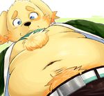  :3 anthro belt blue_eyes body_hair canine chest_tuft clothed clothing cusith dog happy_trail looking_down mammal mando_(pixiv) navel open_shirt overweight pants pubes simple_background tokyo_afterschool_summoners tuft 