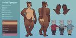  bear brown_bear brown_fur facial_hair fan_character fur junga mammal model_sheet pubes slightly_chubby 