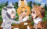  animal_ears blush chair commentary_request curry day eating eurasian_eagle_owl_(kemono_friends) feeding food head_wings highres jeff17 kemono_friends multiple_girls nature northern_white-faced_owl_(kemono_friends) open_mouth outdoors plate rice serval_(kemono_friends) serval_ears serval_print short_hair sitting sky smile spoon table tree wooden_table 