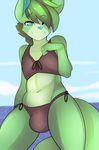  anthro bikini bulge canine clothed clothing crossdressing hair kami-chan looking_at_viewer male mammal outside smile solo standing swimsuit 