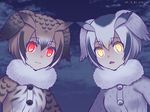  animal_ears blush brown_eyes brown_hair buttons coat commentary_request eurasian_eagle_owl_(kemono_friends) eyebrows_visible_through_hair fur_collar fur_trim glowing glowing_eyes grey_hair hair_between_eyes head_wings kemono_friends kurarin long_sleeves looking_at_viewer multicolored_hair multiple_girls northern_white-faced_owl_(kemono_friends) open_mouth short_hair white_hair wings 