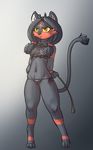  2017 anthro anthrofied black_fur black_hair bra breasts camel_toe cat_keyhole_bra clothed clothing domovoi_lazaroth fan_character feline female fur grey_background hair hands_behind_back litten long_hair mammal navel ni nintendo nipple_bulge panties pok&eacute;mon pok&eacute;morph red_eyes red_fur simple_background small_breasts solo underwear video_games whip yellow_sclera 