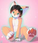  2017 anthro black_hair brown_fur canine clothed clothing collar cute english_text fur green_eyes hair long_hair looking_at_viewer male mammal navel pawpads pink_background red_hair ribbons rysonanthrodog signature simple_background smile solo text topless white_fur 