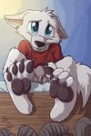  anthro barefoot bed black_nose blue_eyes bulge canine claws clothing cub cute ears_down eyebrows foot_focus fox fuf fur head_tilt looking_at_viewer male mammal pawpads paws red_shirt shirt shorts signature simple_background sitting smile solo white_fur young 