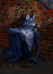  5_fingers anthro barefoot black_lips black_nose blue_fur canine clothed clothing detailed_background digitigrade fur green_eyes male mammal sitting solo topless wolf wolnir 