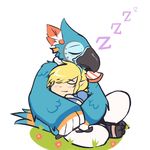  2017 anthro avian beak bird blonde_hair blue_feathers blush breath_of_the_wild chibi clothed clothing crackers cute duo embrace eyes_closed feathers grass hair hug humanoid kass_(zelda) link male nintendo pants pointy_ears rito shoulder_pad simple_background sitting size_difference sleeping smile talons the_legend_of_zelda video_games white_background winged_arms wings 