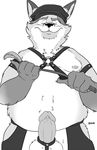  anthro balls belly bravo canine disney erection fox fur gideon_grey hair hat humanoid_penis leather male mammal nipples overweight penis simple_background slightly_chubby smile solo white_background zootopia 