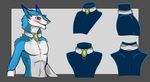  anthro blue_fur blusky collar fur model_sheet sergal simple_background 