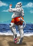  4_toes azsola bare_back beach black_nose canine clothed clothing dalmatian day digitigrade dog fur male mammal outside overweight pawpads seaside sky solo spots spotted_fur toes topless water white_fur 