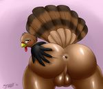  2014 anthro anus avian backsack balls big_butt bird blush brown_feathers butt cute eyelashes feathers girly girokett hand_on_butt holding_butt looking_at_viewer looking_back male presenting presenting_anus presenting_hindquarters rear_view simple_background solo spread_butt spreading turkey yellow_eyes 