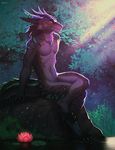  2017 5_fingers anthro dragon falvie featureless_crotch male navel nude outside raining rock sitting smile water 