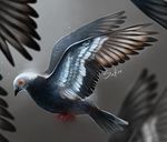  ambiguous_gender avian beak bird blue_feathers feathered_wings feathers feral flying grey_feathers orange_eyes pigeon safiru simple_background wings 