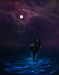  ambiguous_gender black_fur black_nose blue_eyes canine detailed_background dog feral fur mammal moon night outside partially_submerged safiru sky solo standing water 