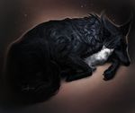  ambiguous_gender black_fur black_nose canine cat dog duo feline feral fur lying mammal paws safiru sleeping smile white_fur 